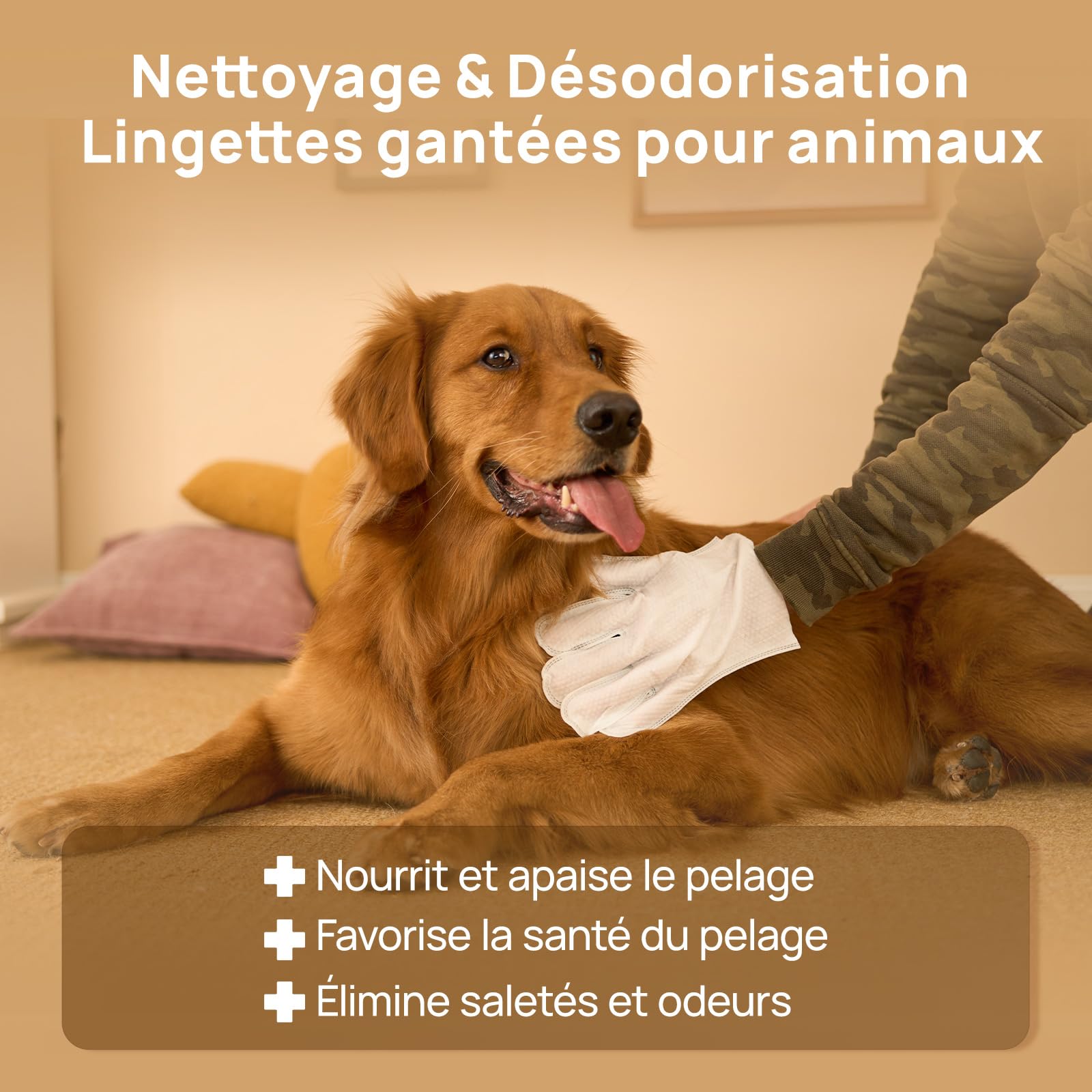 HICC PET Gants de Nettoyage pour Chiens et Chats, 20 Lingettes Humides Double Face pour Le Toilettage et Les Pattes, sans Rinçage, Formule à l'huile de Coco pour Peau Sensible, Parfum Coco
