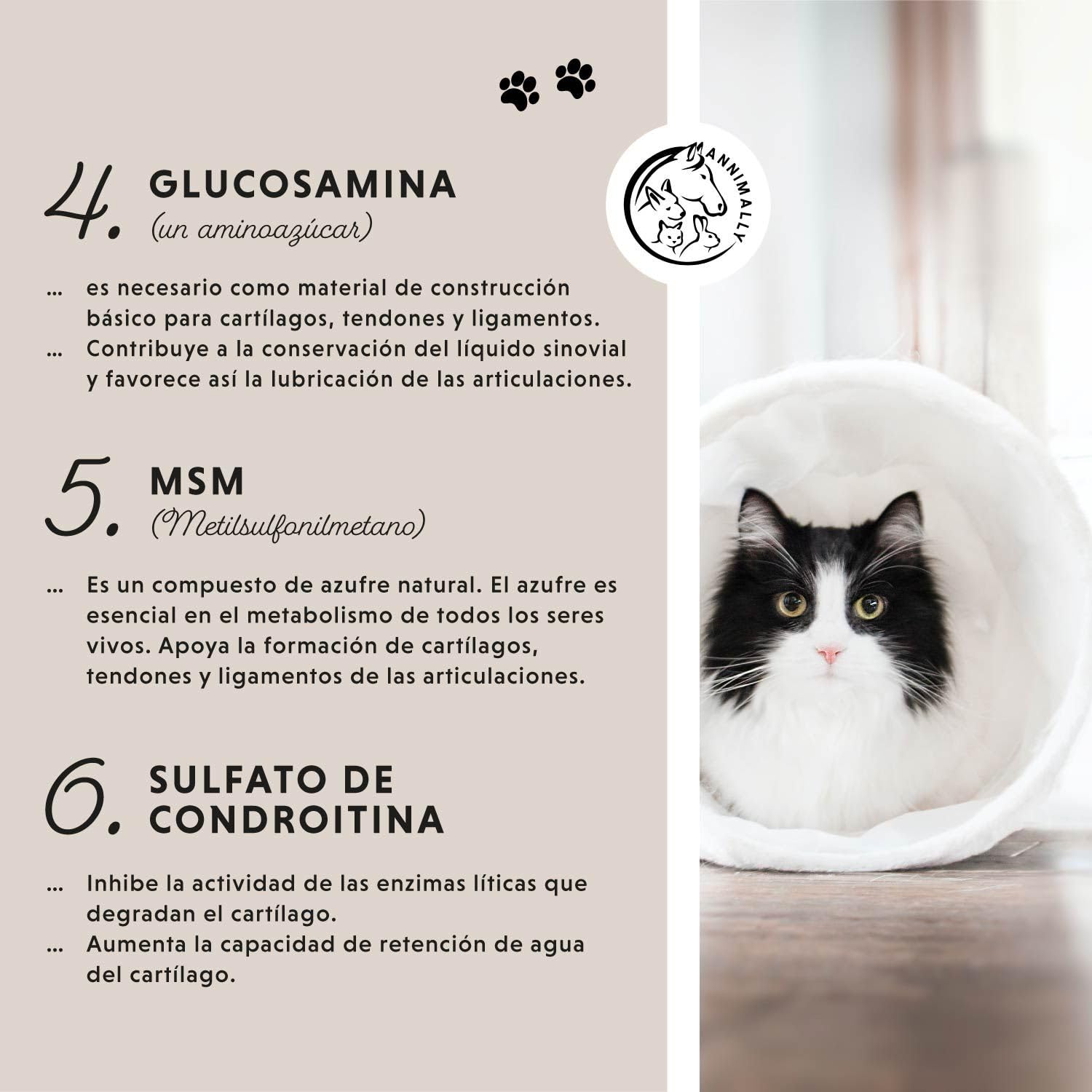Annimally Polvo Articular Gatos | 120g para 4 Meses - La Alternativa a Las tabletas para articulaciones. Polvo articulaciones saludables con mejillón de Labios Verdes, MSM, Garra del Diablo