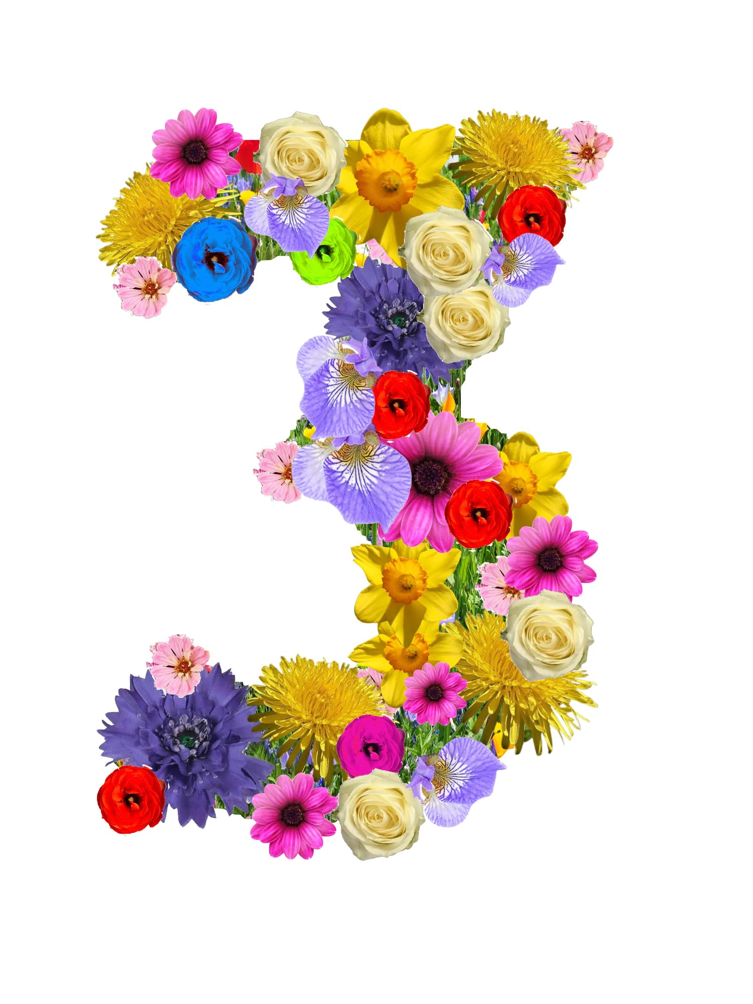 Oasis Numero 1 Spugna Idro Per Fiori Freschi Con Cavalletto In Legno 40x26x6 Cm – La Base Perfetta Per Composizioni Da Compleanno