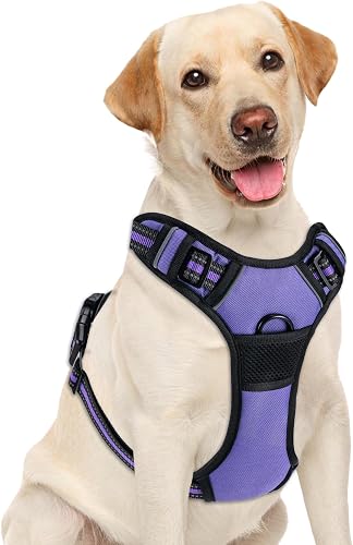 No Pull Dog Harness, Adjustable Reflective Front Clip Pet Vest with Easy Control Handle for Medium Large Dogs (Purple,M)