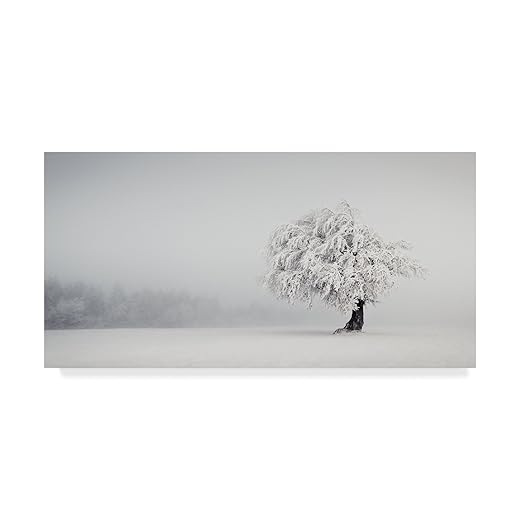 Trademark Fine Art Andreas Wonisch Fine Art, Multicolor