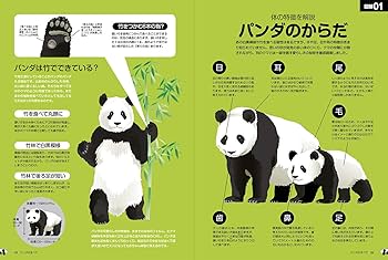 パンダページ Amazon.co.jp: Overglad パンダコパンダ レターセット