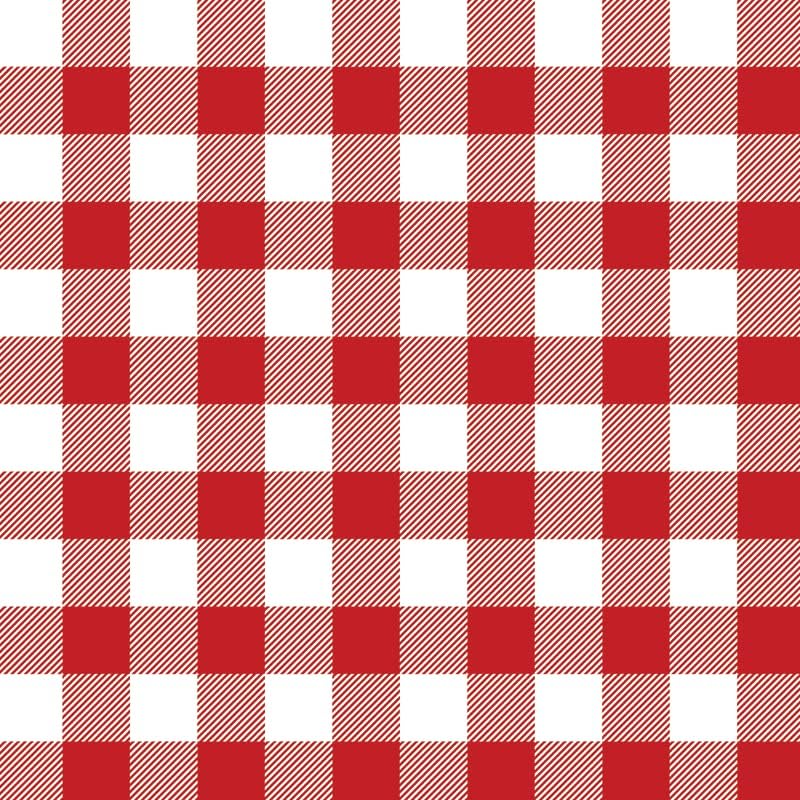 Vinilo adhesivo permanente con patrón de cuadros de búfalo para manualidades, 12 x 12 hojas (4H, 1)