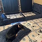 Review Image by CR CR