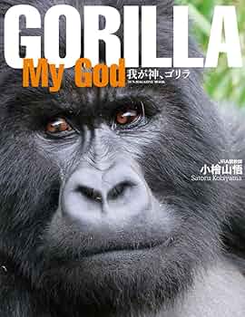 ゴリラズ gorillas レア本 71C-9CzIctL._UF350,350_QL50_.jpg