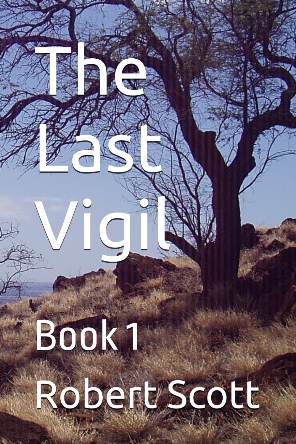 The Last Vigil: Book 1