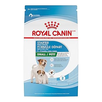 Where Can I Buy Royal Canin Dog Food: Top Trusted Stores Guide