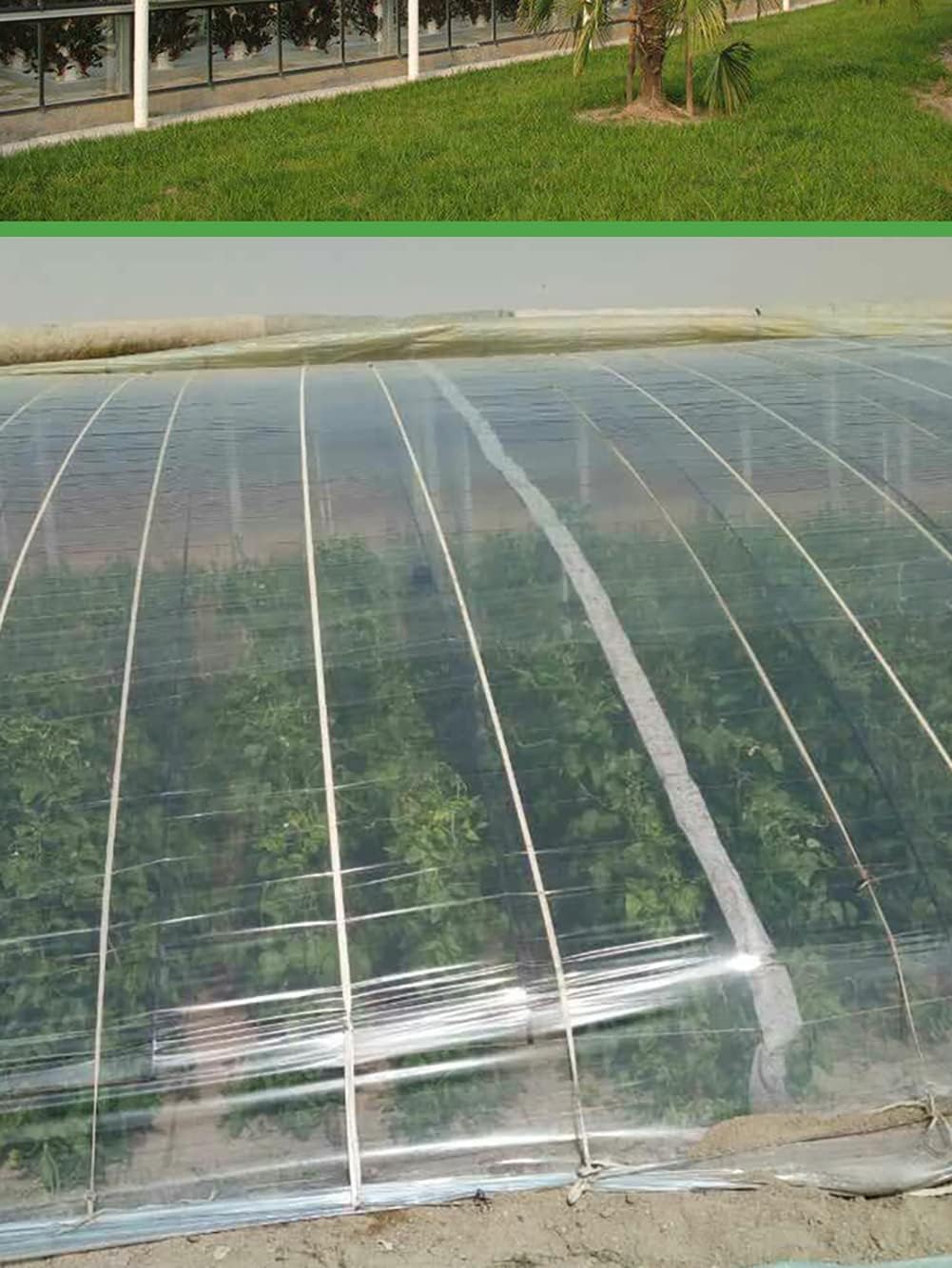 Transparent Tarpaulin Sheet Waterproof Extra Strong Quality Tirpal Tadpatri Tharpai Thadika. Ideal for Protecting Equipment, Plants, Vehicles, and Surfaces from Paint and Damage. Size- 4ft x 6ft. — Amazon image 4