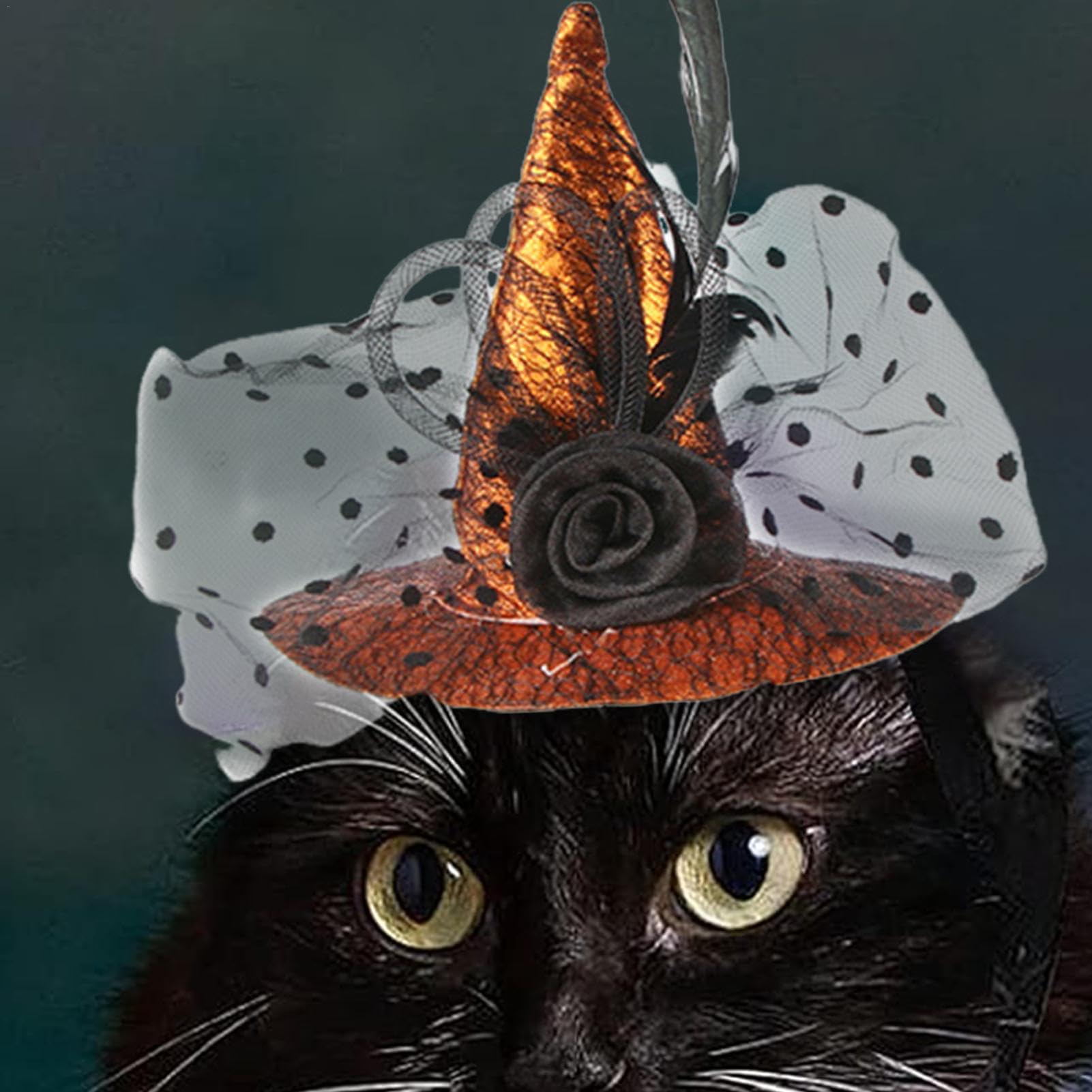 Amazon | 猫用ウィッチハット,猫用ウィッチハット,ペットの魔女