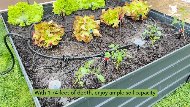 Amazon.com: Modular Raised Garden Beds Kit - 6x3x2 Tall 13 in 1