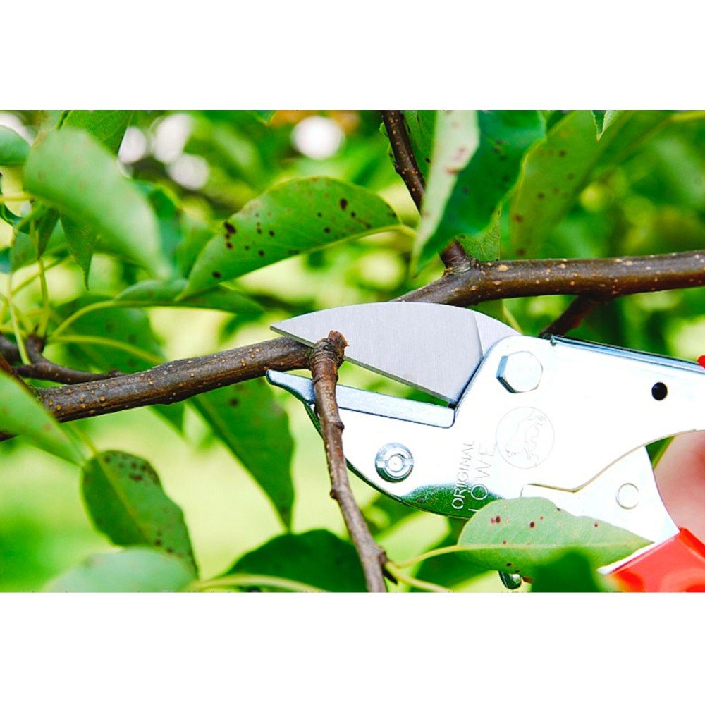 Löwe 5.127 kleine Amboss-Schere spitze Klinge ergonomische Griffe Astschere