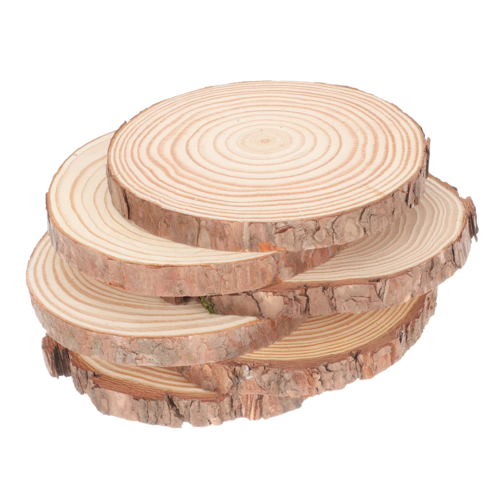TEHAUX 6pezzi Fette Di Legno Naturale Non Trattate Dischi Legno Per Fai Da Te Per Decorazioni Pittura e Attività Educative Spessore
