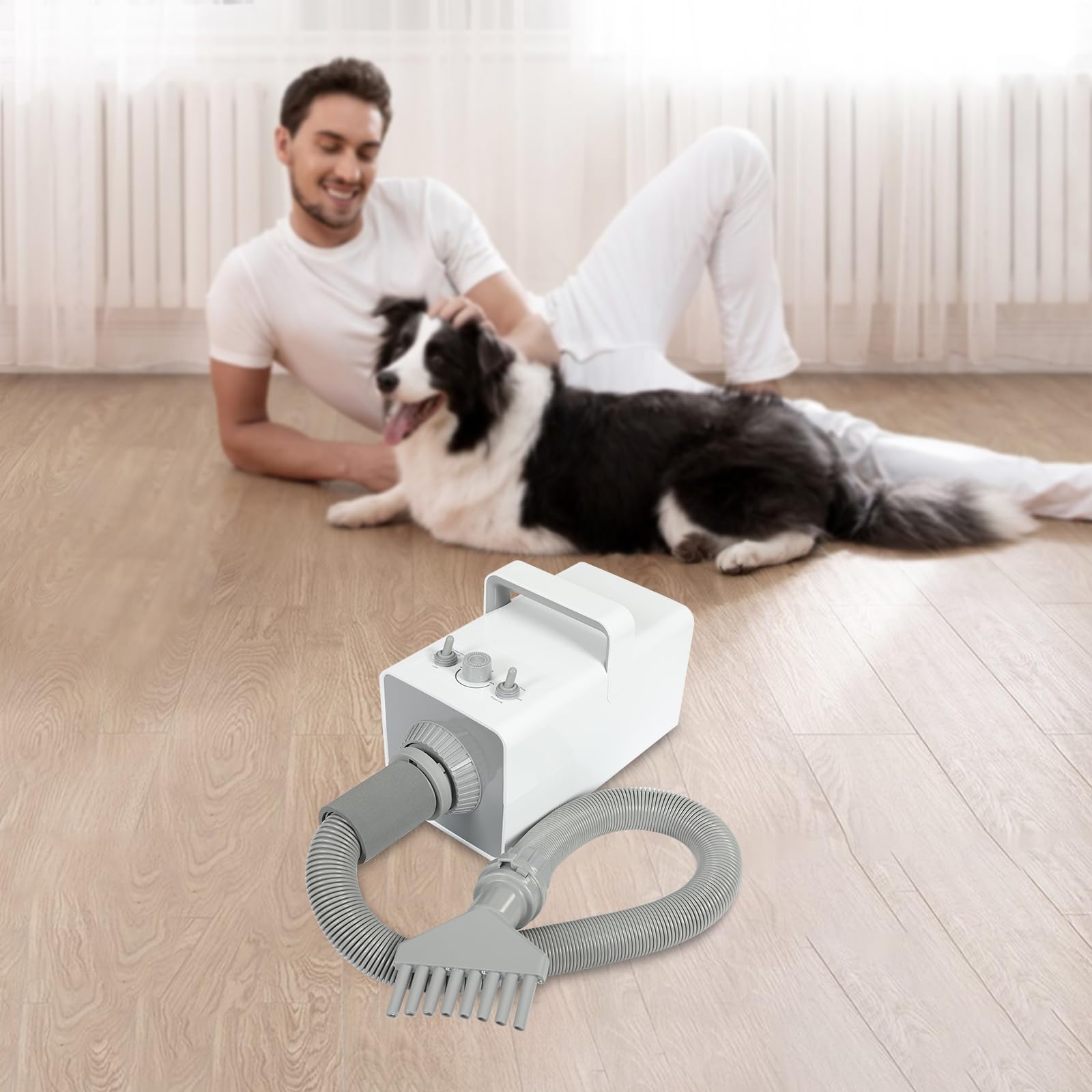 Asciugacapelli per cani, 2800 W, 57 dB, 68 m/s, silenzioso