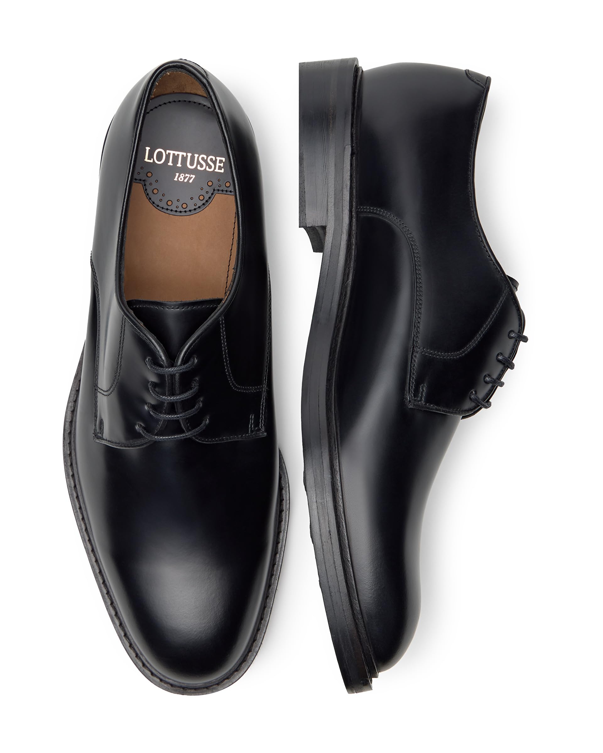 Zapato con Cordones HARRYS