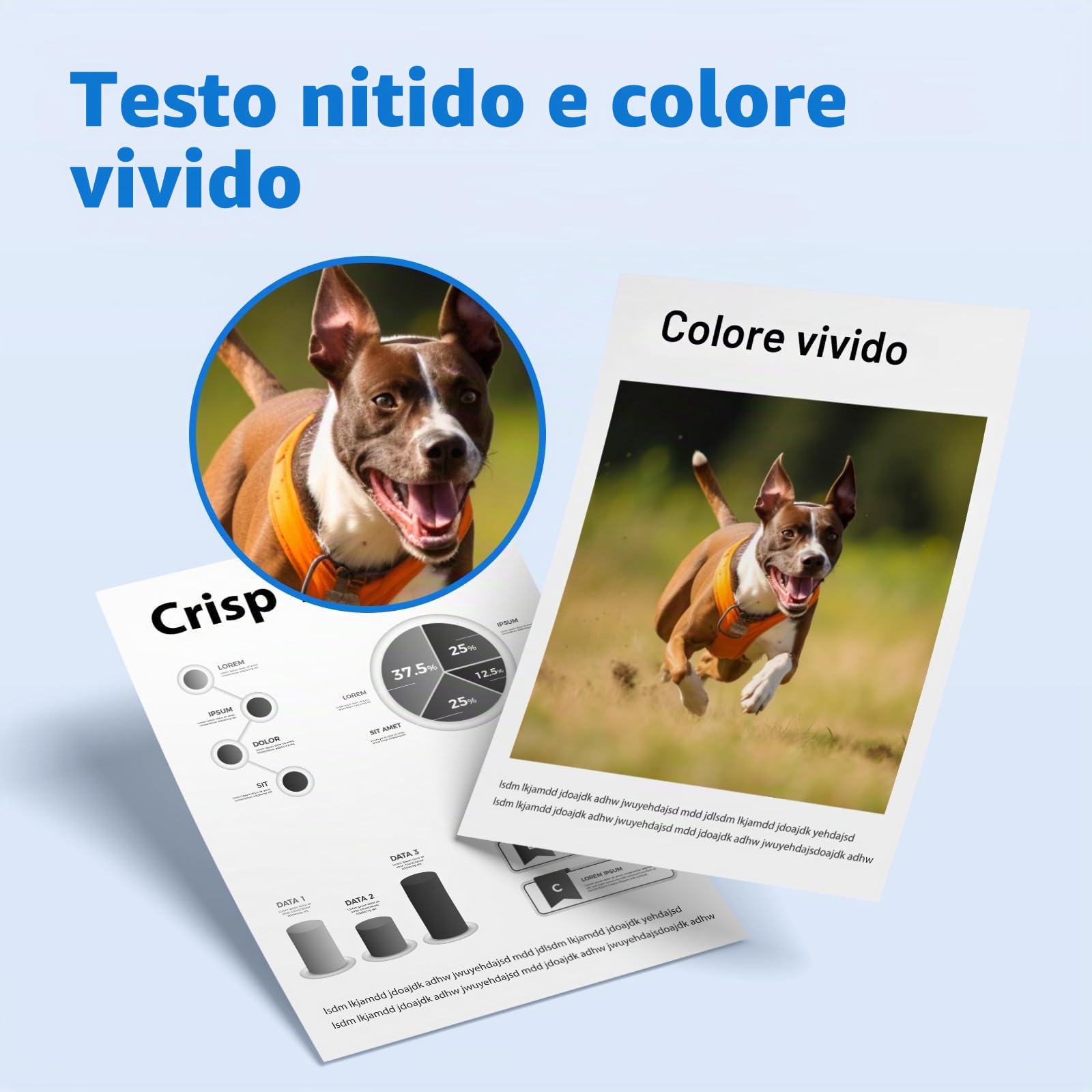 MYCARTRIDGE Cartucce Toner TN2420 Compatibili con Brother TN 2420 TN-2420 per Brother MFC-L2710dw MFC-L2710dn HL-L2350dw MFC-L2750dw DCP-L2510d HL-L2375dw HL-L2370dn