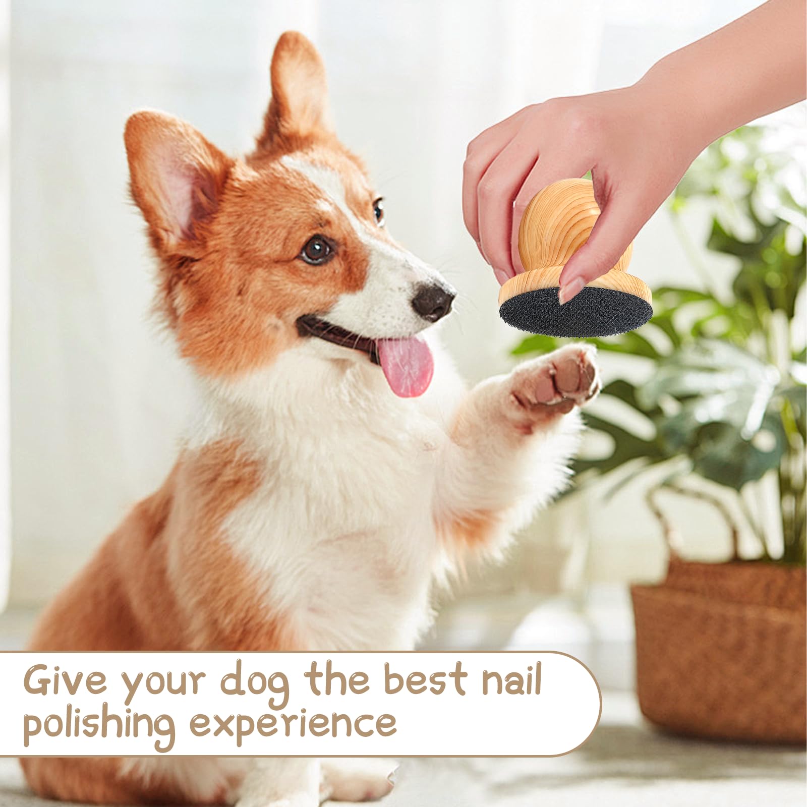 DAUNZMR Dog Nail File with 4 Pcs Replaceable Sandpaper, Nail Grinder Board for Dogs & Cats - image 6