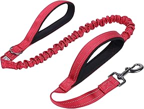 VIVAGLORY Dog Lead Pullsafe Bungee Dog Lead, Leash with 2 Padded Handle & Double Handle for Training & Walking, Bungee Anti Pull for Pet That Pull, 1.2m x 2.5cm, Red