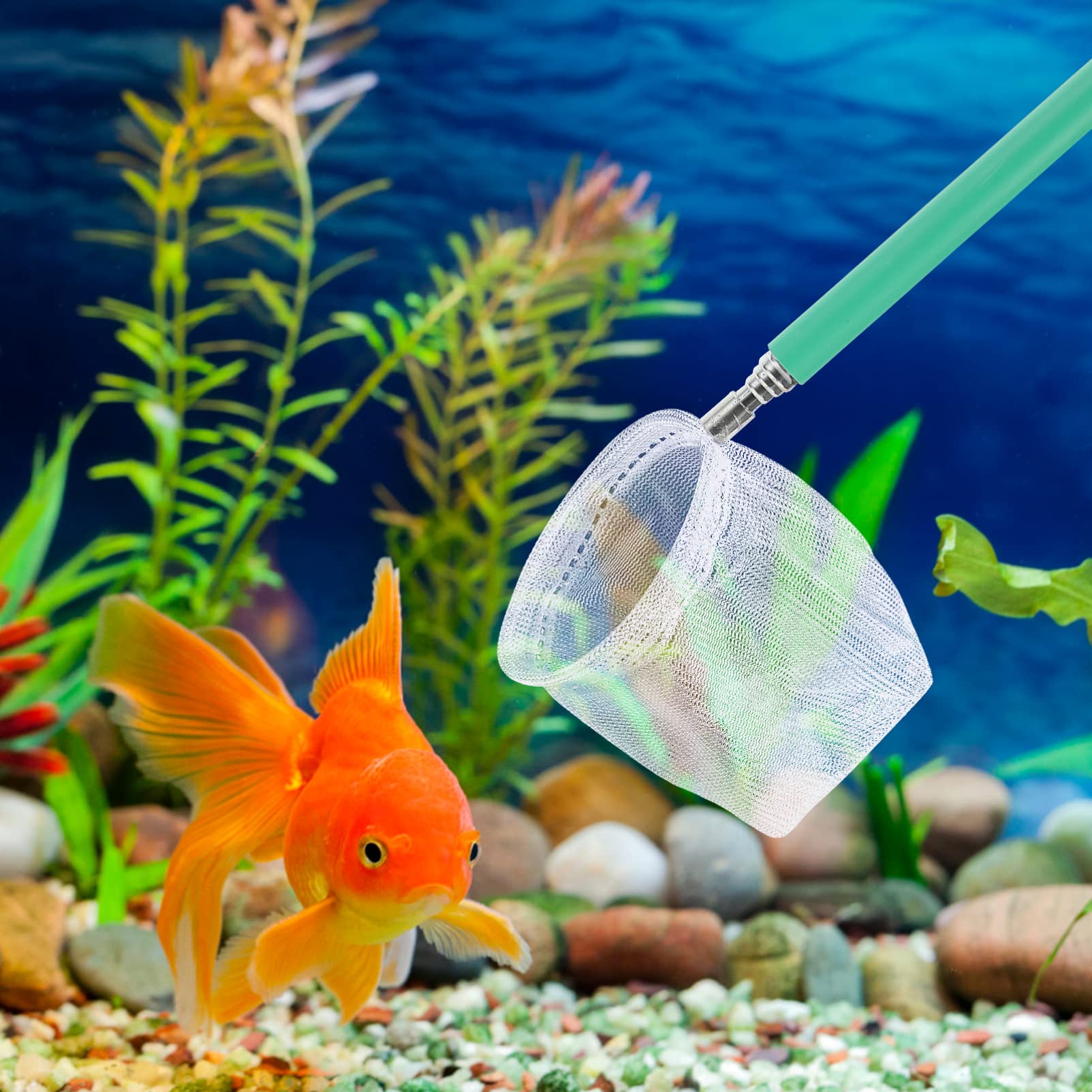 YARNOW Pecera Red De Pesca De Camarones Red De Camarones Lucioperca De Colores Acuarios De Peces Pequeñas Redes De Pesca Red De Peces De Acuario Acero Inoxidable