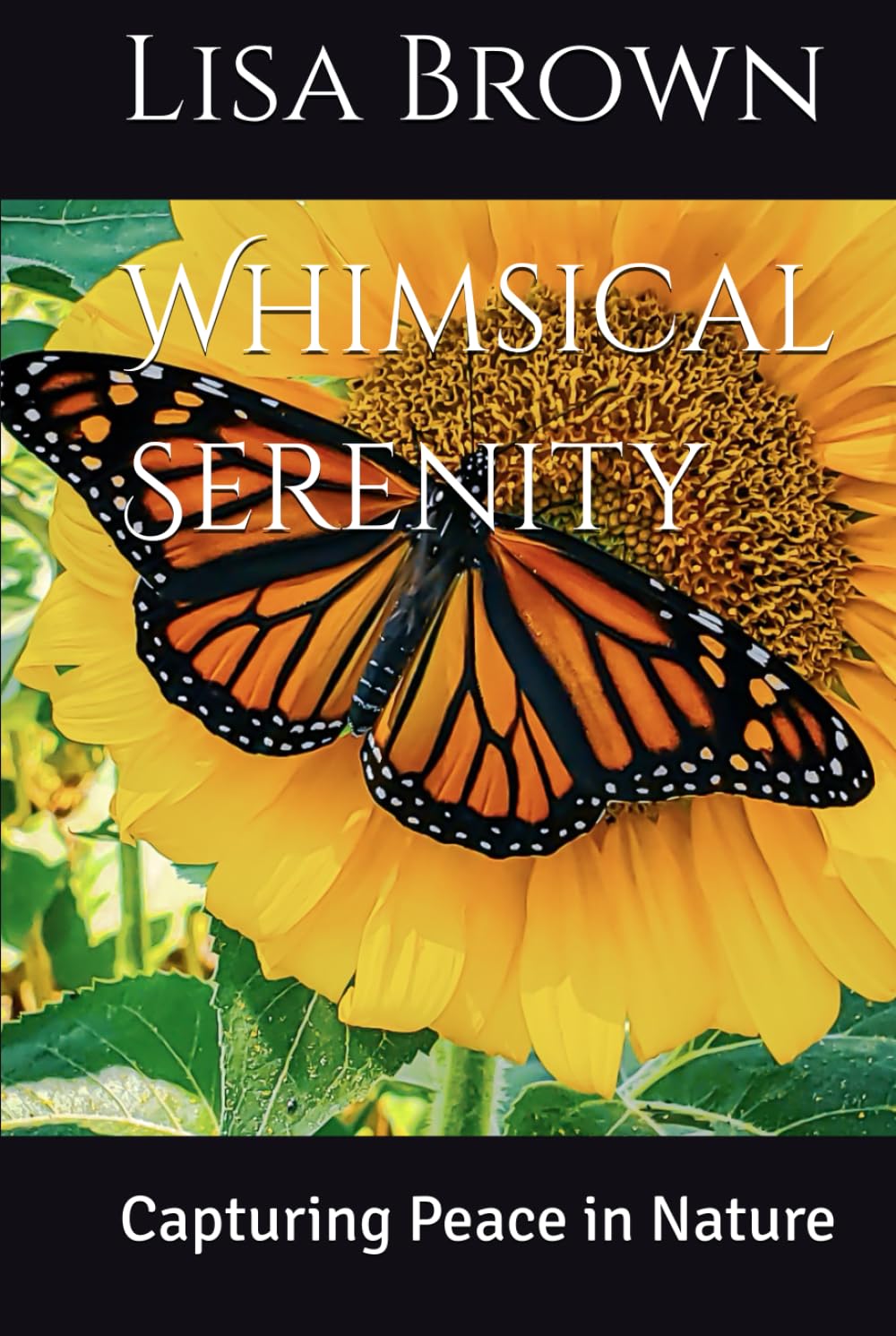 Whimsical Serenity: Capturing Peace in Nature