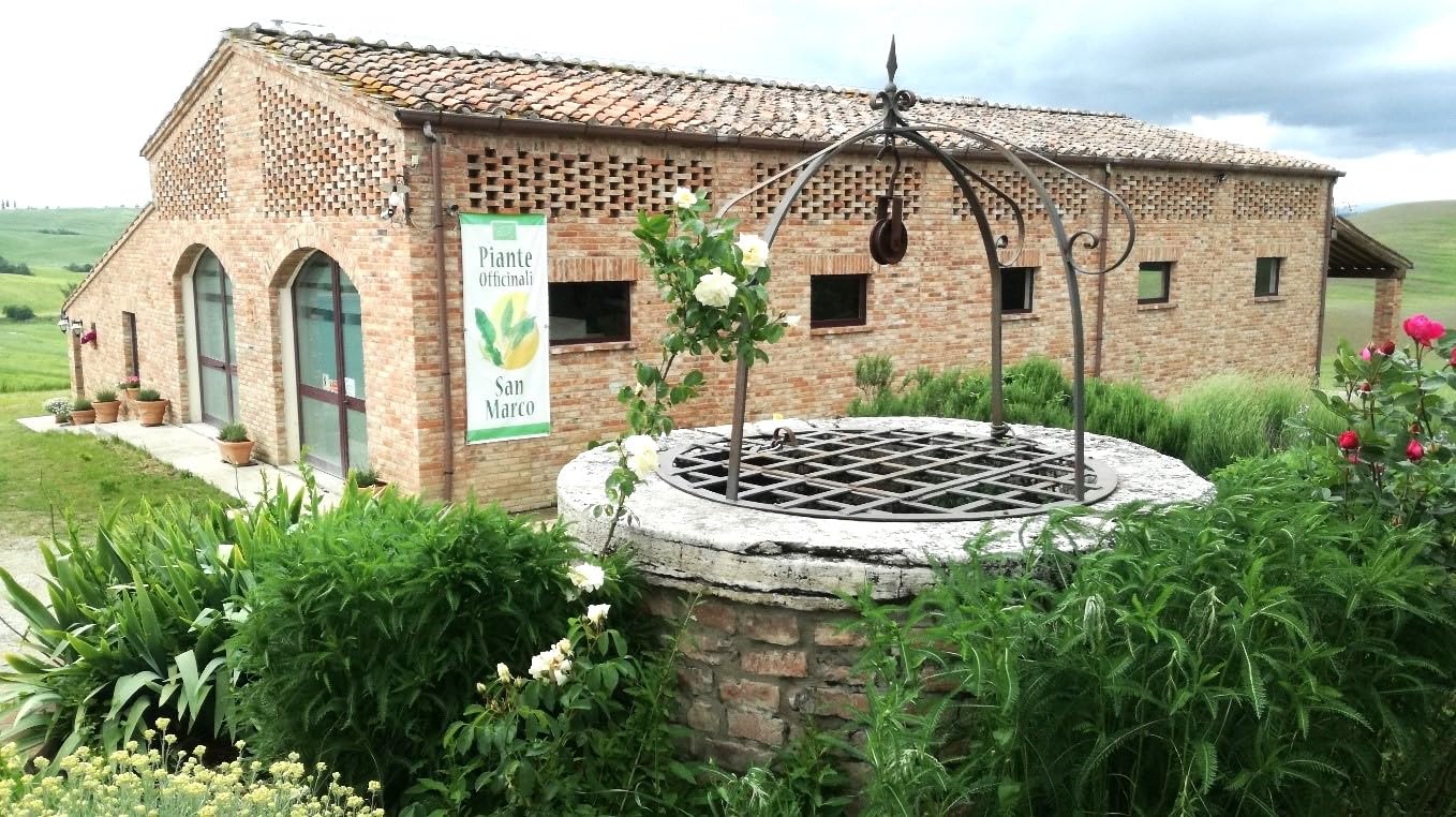 Officinali San Marco - Zafferano toscano biologico in polvere delle Crete Senesi - Toscana - Italia – 3 buste triple da 0,30gr