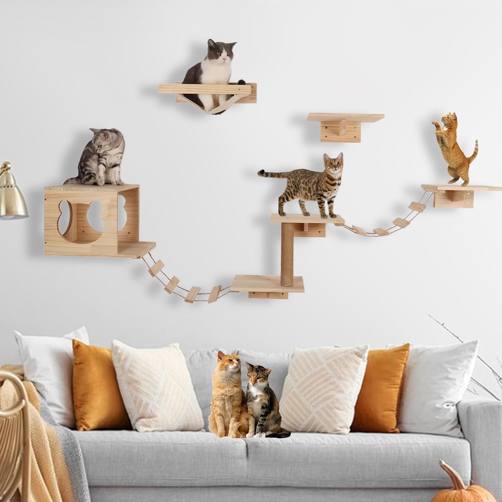 Tiragraffi per Gatti, Amaca per Gatti, Giochi Gatto, per Gatto, Gattini, Soggiorno, Arrampicata, Graffi, Gioco E Relax