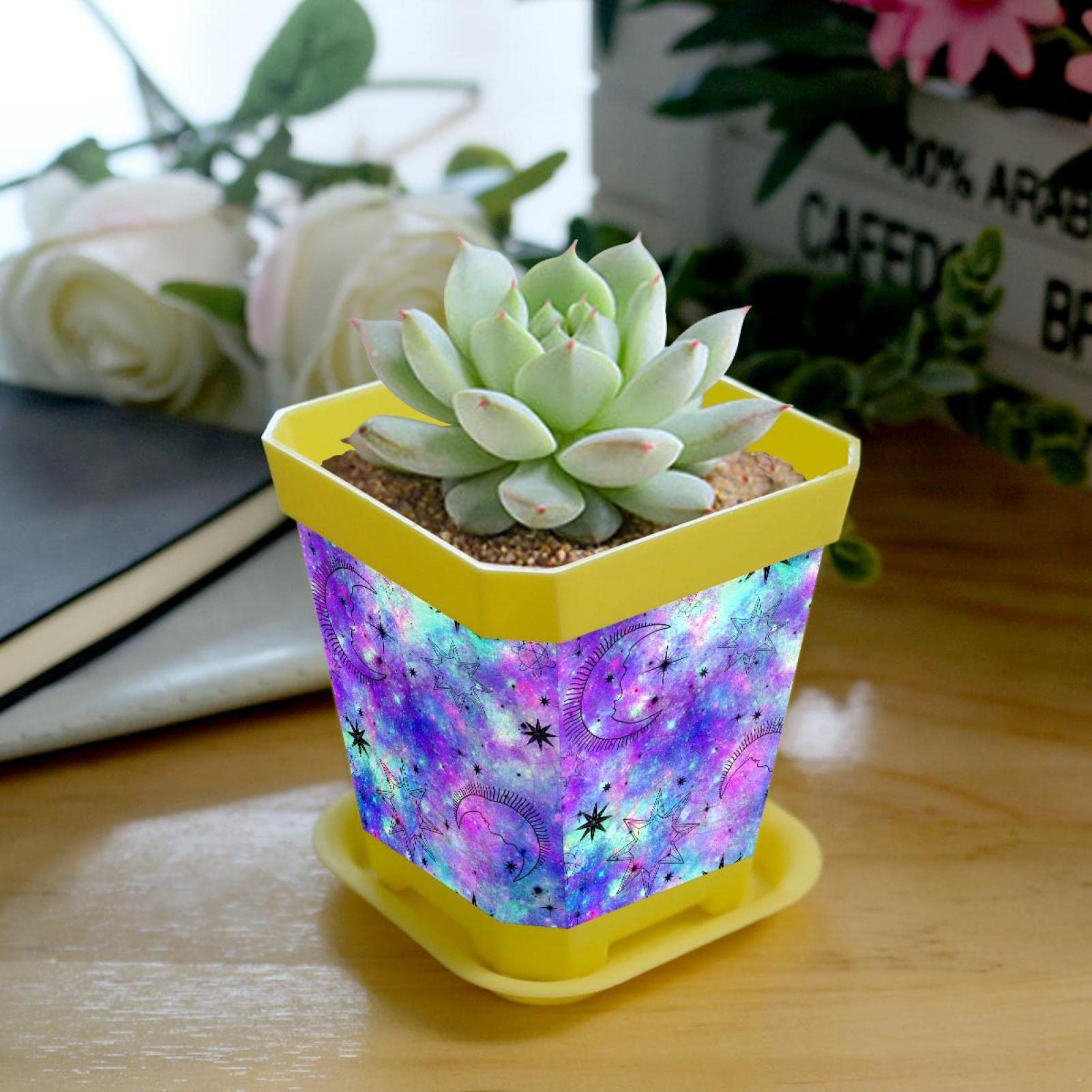 12 Vasi Quadrati In Plastica Con Sottovaso 7x7 Cm – Multicolore, Per Piante Grasse E Fiori