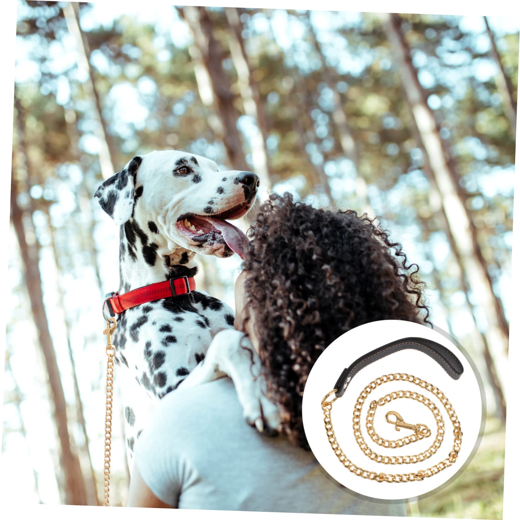 minkissy Correa para Perros de Acero Inoxidable Dorada, Cuerda de Tracción Resistente y Cómoda para Paseos y Control de Mascotas y Cachorros