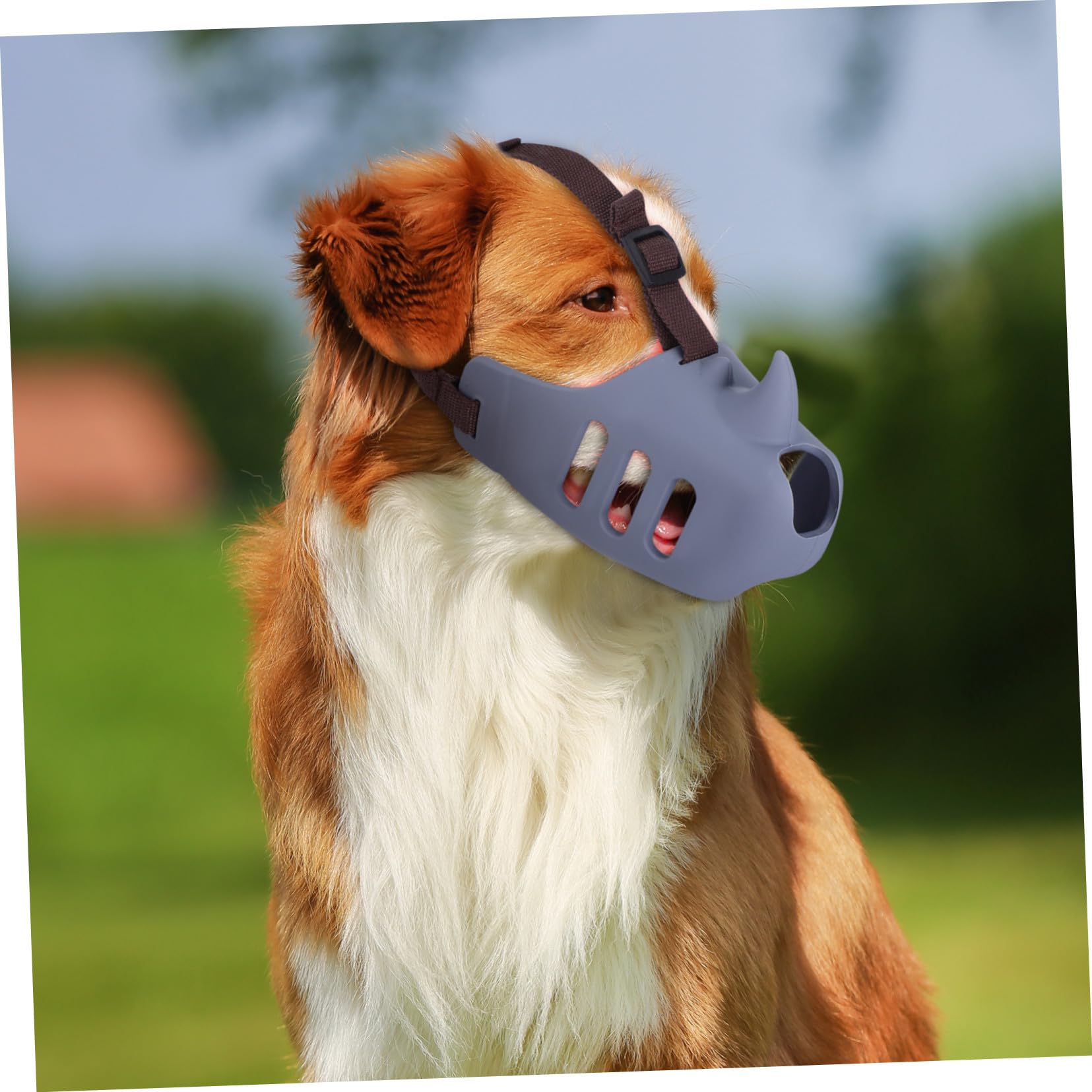 3 pièces Muselière pour Chiens Réglable Silicone Doux Confortable et Respirante Morsure et Aboiement Adaptée Aux Moyennes et Grandes Races