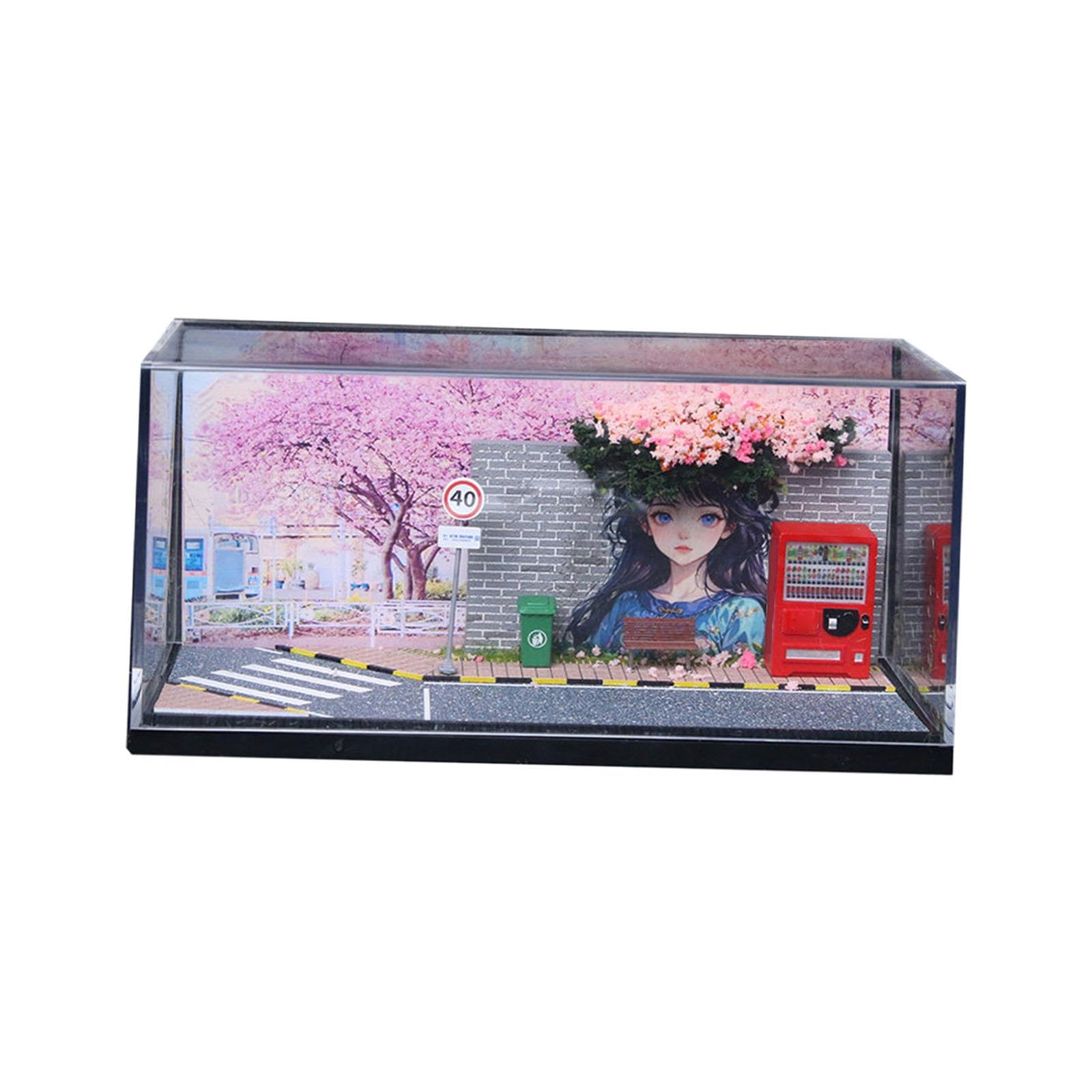 harayaa 1/64 Diorama Vitrine, Dekorativ, Staubdicht, Und Kreativ für Modellautos