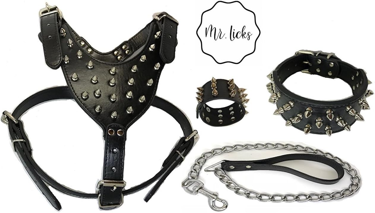 Gritt Spiked Dog Collar Set4 Piece Set (M) Leash, Collar