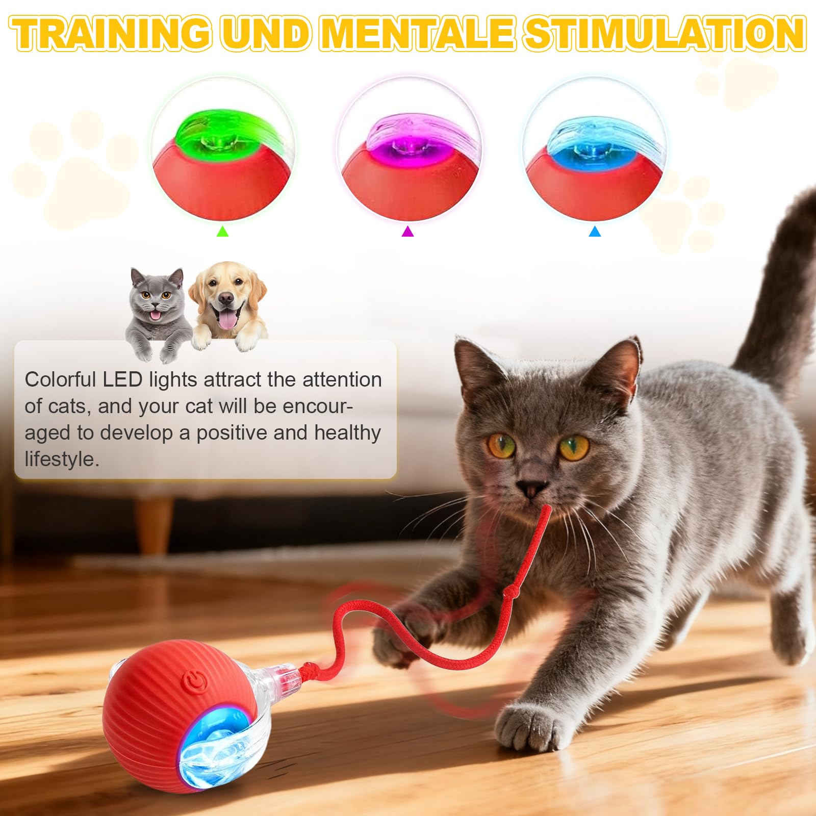 Lot de 2 balles interactives pour chat, rotation automatique à 360°, évite les obstacles, comprend 4 ressorts en spirale pour chat et 1 souris jouet pour chat à fourrure, idéal pour les chats