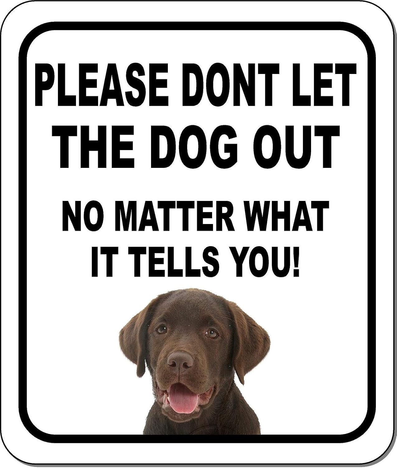 PLEASE DONT LET THE DOG OUT NO MATTER WHAT Chocolate Lab Aluminum Composite Outdoor Sign 20" x24"