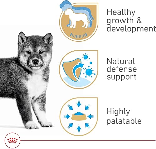 Miniatura 5 de Royal Canin Canine Health Nutrition - Pan para cachorros en salsa para perros, 5.2 onzas (paquete de 12)