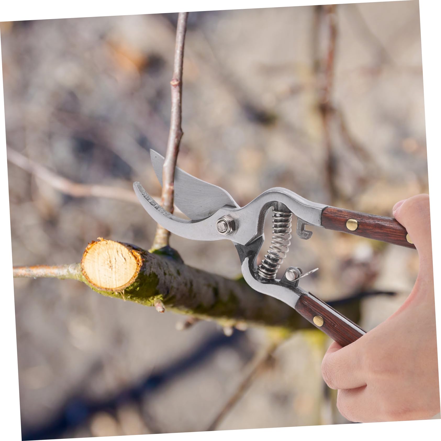 Gartenschere Astschere Schneidwerkzeug Aus Kohlenstoffstahl Für Gartenarbeit Robust Und Langlebig Für Einfaches Trimmen