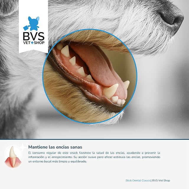 Foto 3 de 7 de BVS Vet Shop