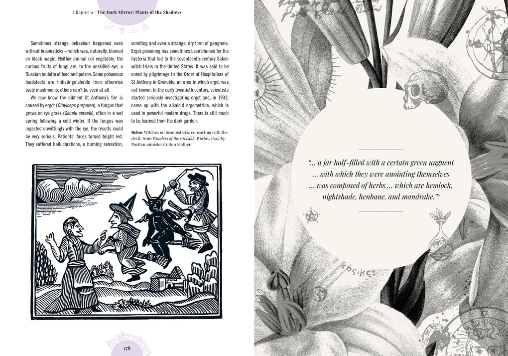 Witch's Garden: Plants in Folklore, Magic and Traditional Medicine