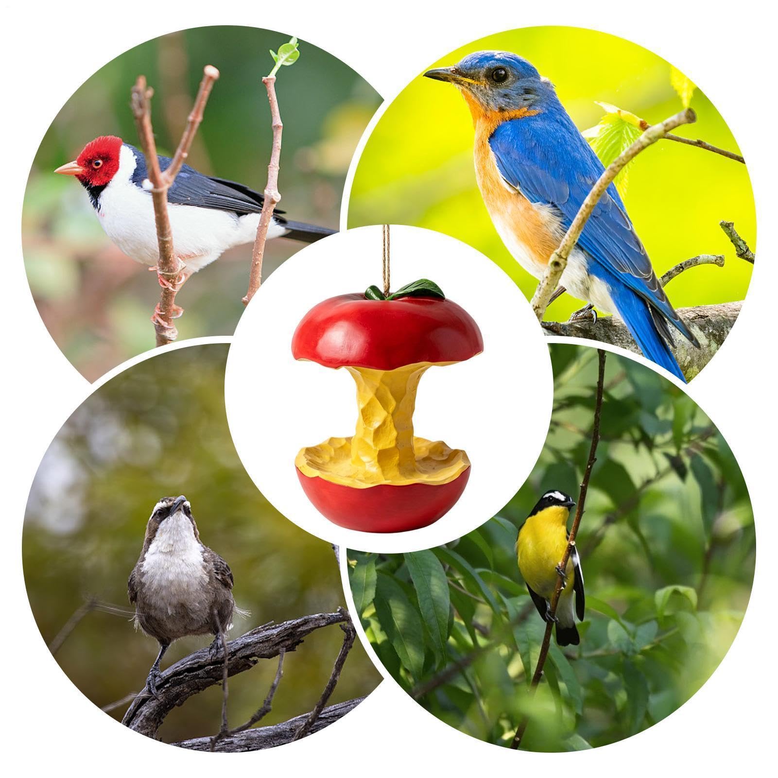 Mangiatoie Per Uccelli Da Esterno Stazione di alimentazione decorativa | Mangiatoie per uccelli selvatici Da decorazione esterna giardino terrazzo balcone cortile casa