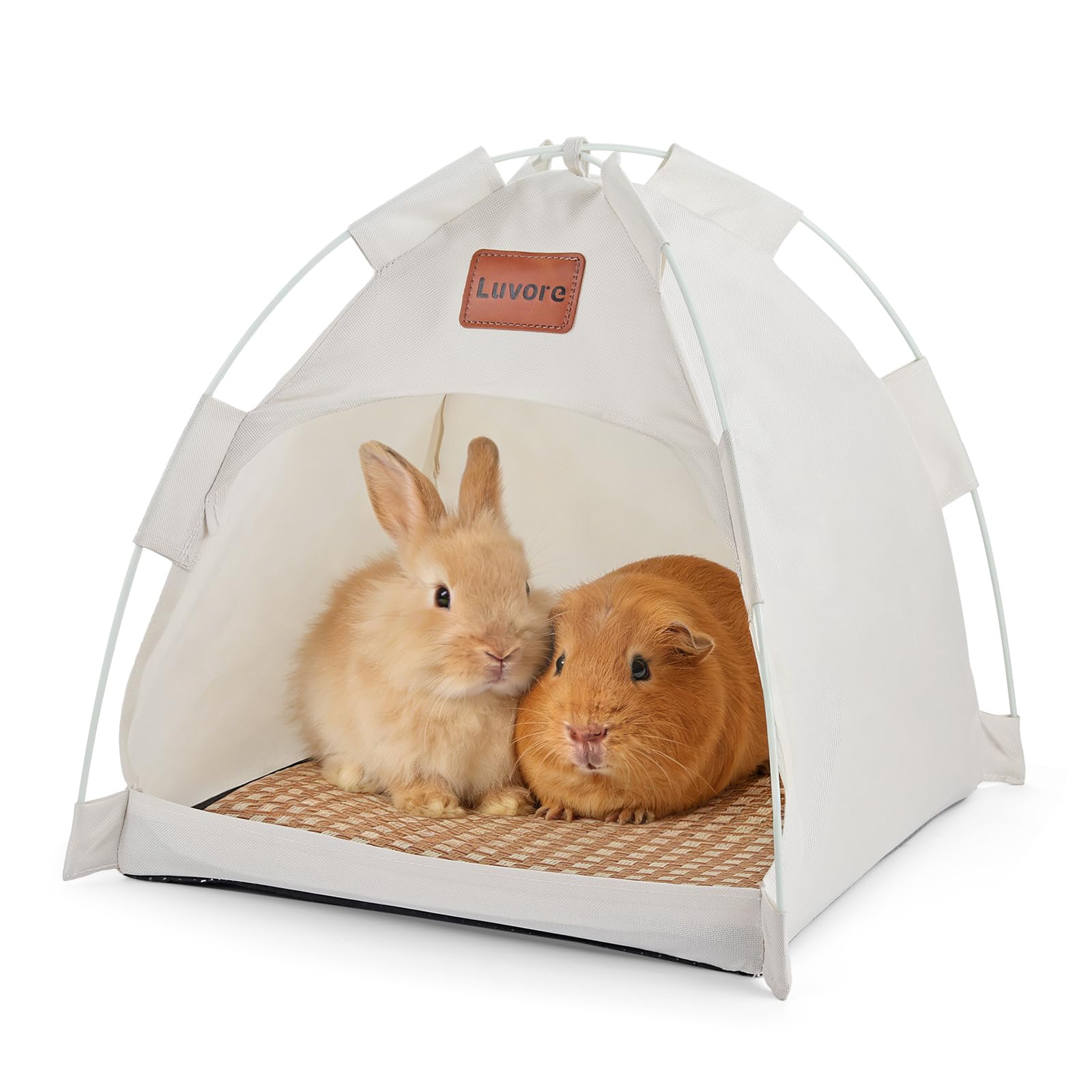 Cama para Gatos y Perros 40x40x37cm, Cueva Mediana Lavable con Cojín Extraíble, Casa para Mascotas, para Mascotas de tamaño pequeño a Mediano en Verano