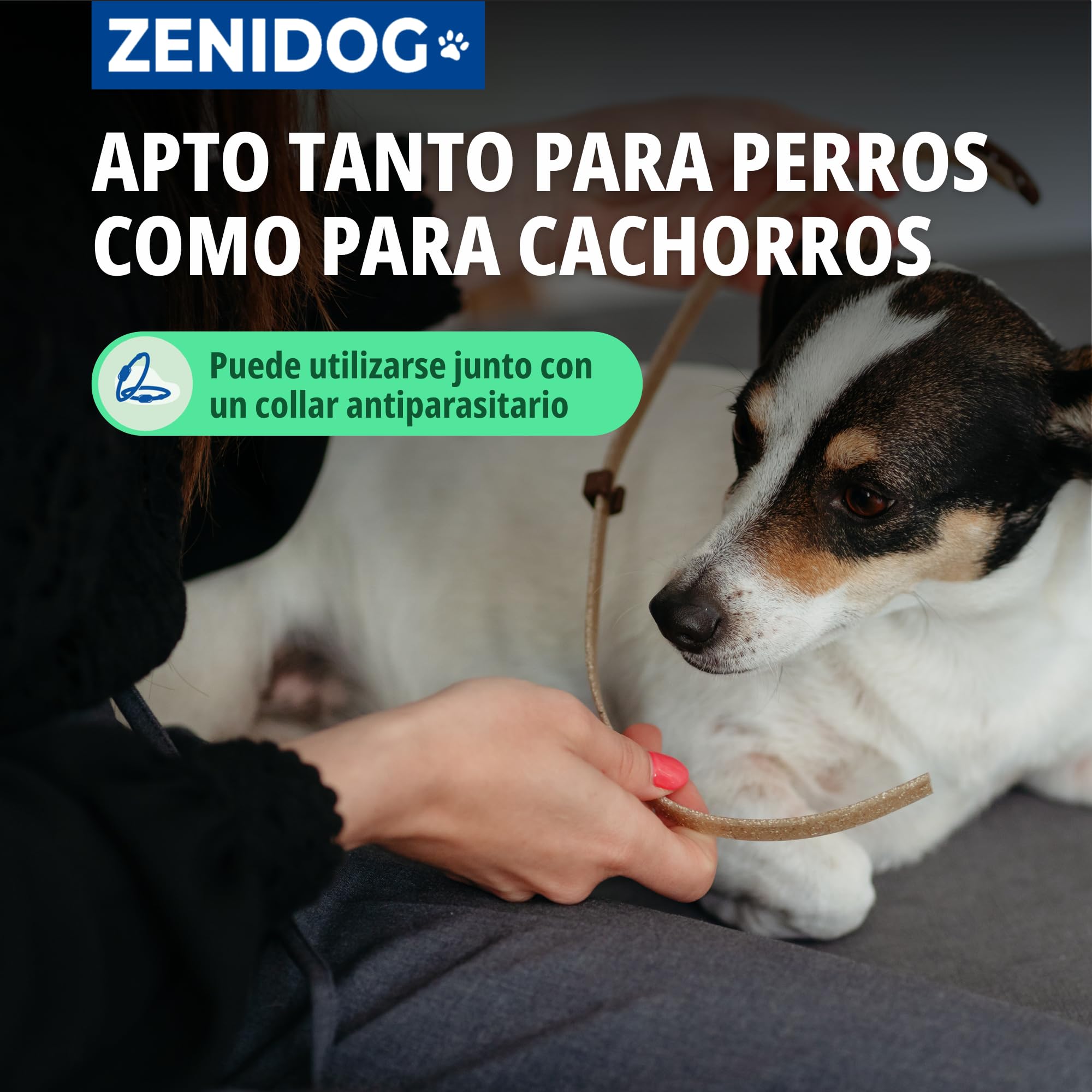 Virbac Zenidog Collar Calmante Perros Pequeños y Cachorros - Antiestrés con Feromonas - Dura 3 Meses - Talla S - 39cm