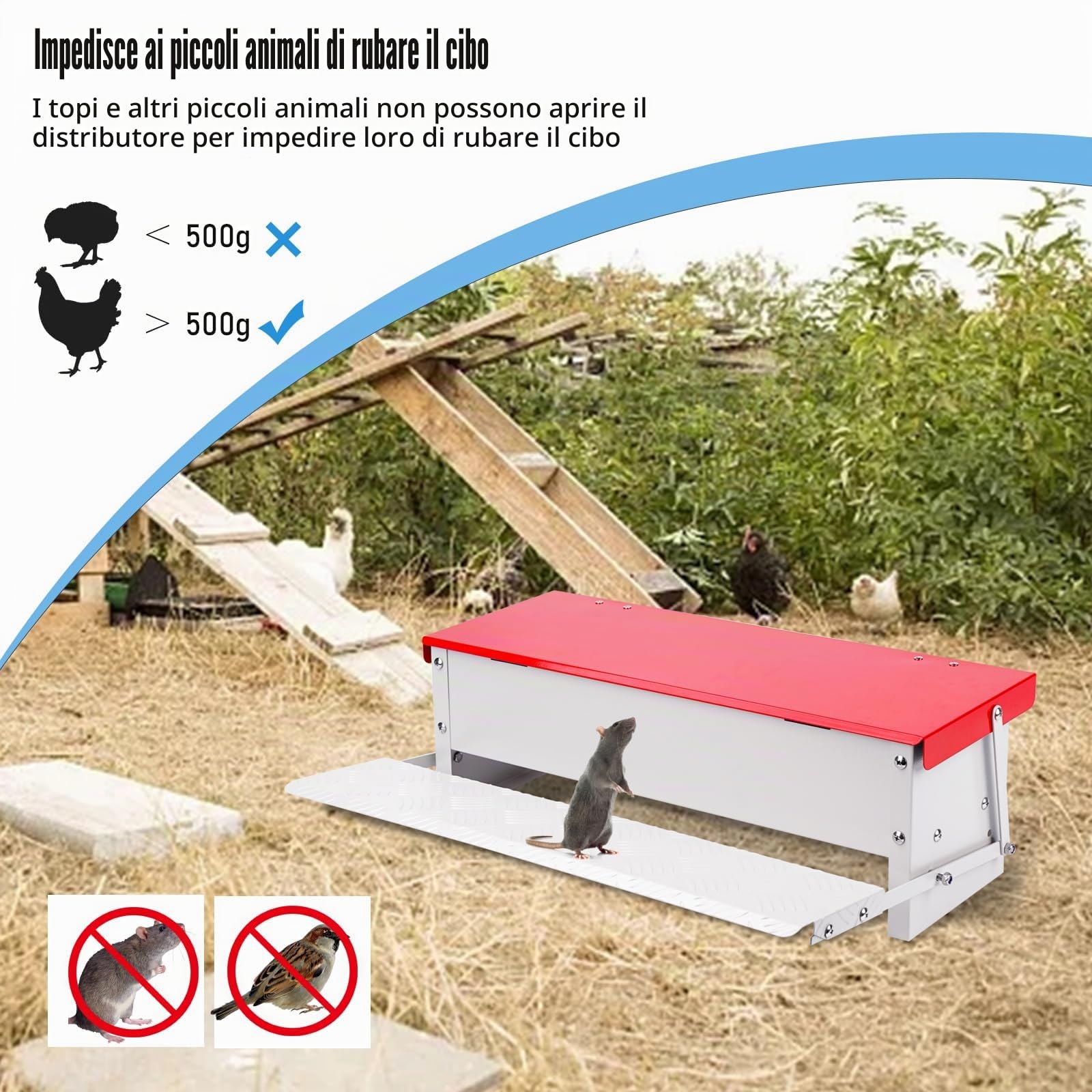 Mangiatoia Automatica per Polli, Mangiatoia per Pollame in Metallo a Pedale da 7 Kg, Mangiatoia per Anatre per Esterni Senza Rifiuti con Coperchio Resistente Alle Intemperie per 6-12 Polli