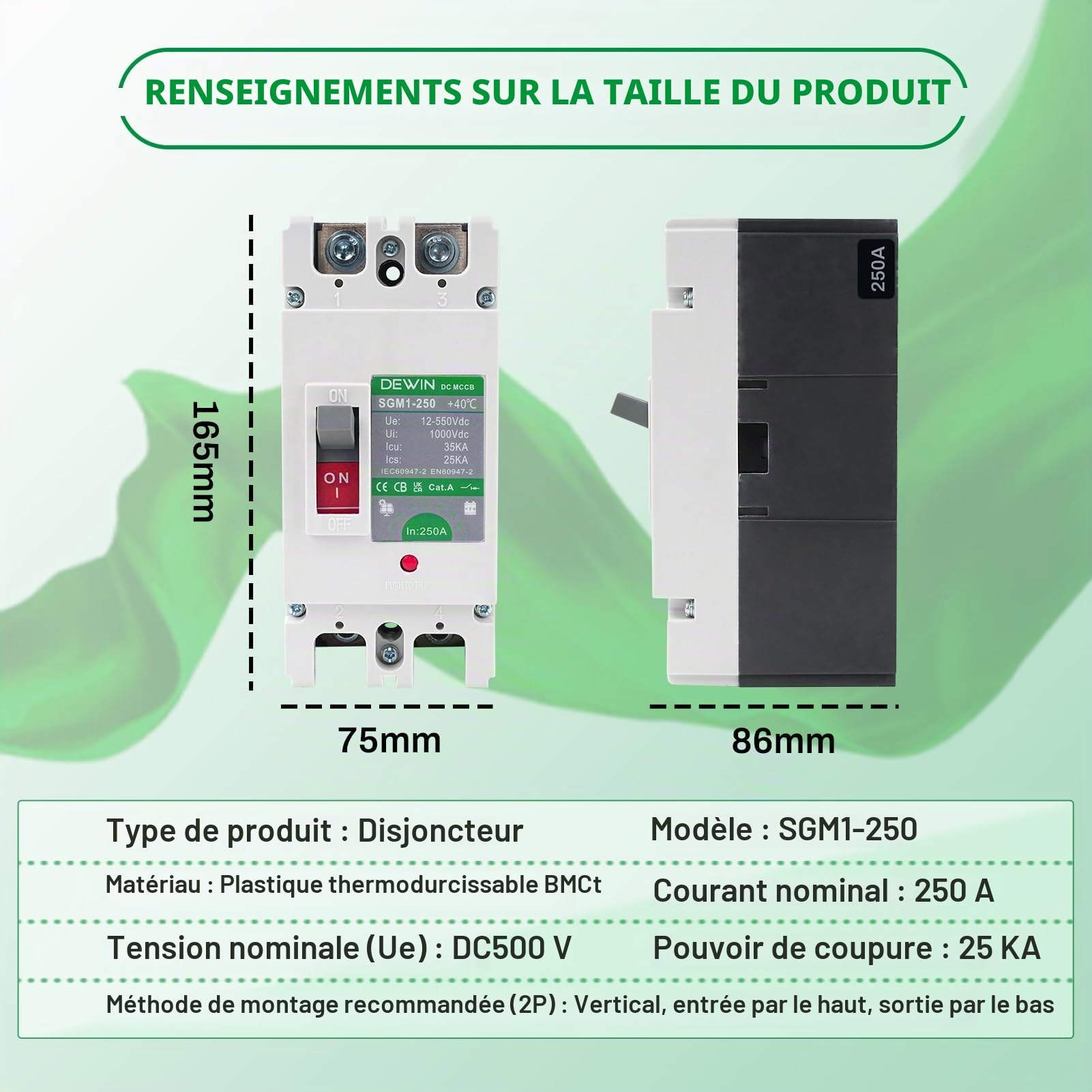 DEWIN Disjoncteur CC 250A, disjoncteur CC boîtier MCCB interrupteur principal de batterie solaire interrupteur de déconnexion de batterie 2P 250A 500V