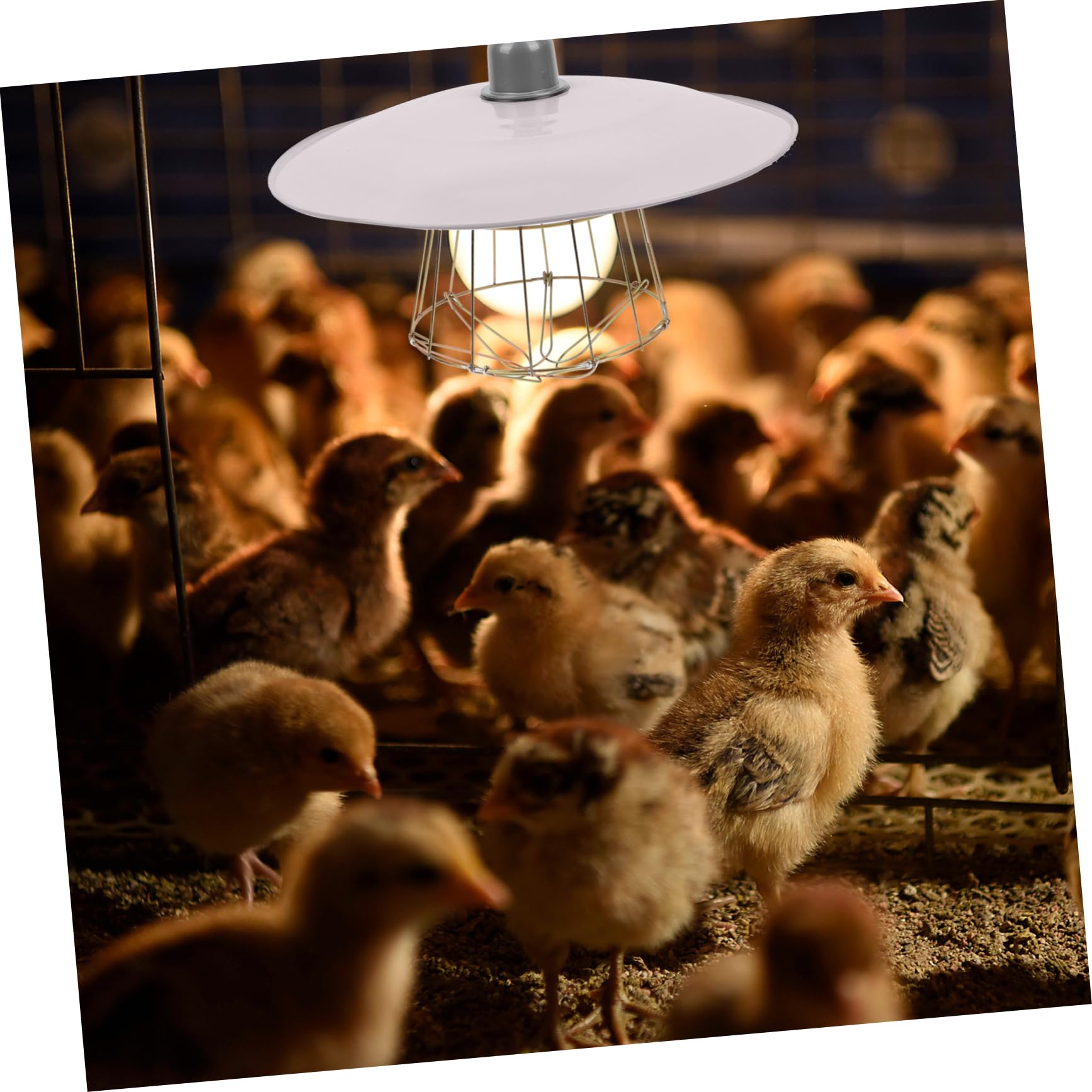 Lampada Riscaldante per Piccoli Maiali in Ferro, Bianca | Montaggio Semplice, Protezione Anti-scottatura, per Allevamento di Bestiame e Pollame