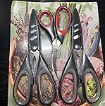 Review Image by Tini Tini