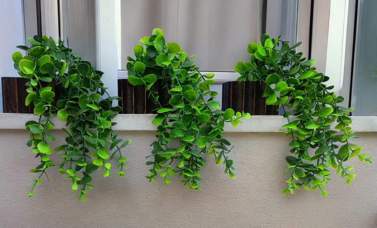Ryme Pack of 3 Artificial Falling Plants Natural Look with Wooden Pot for Home Office Decoration - Review, Price and Buying Guide