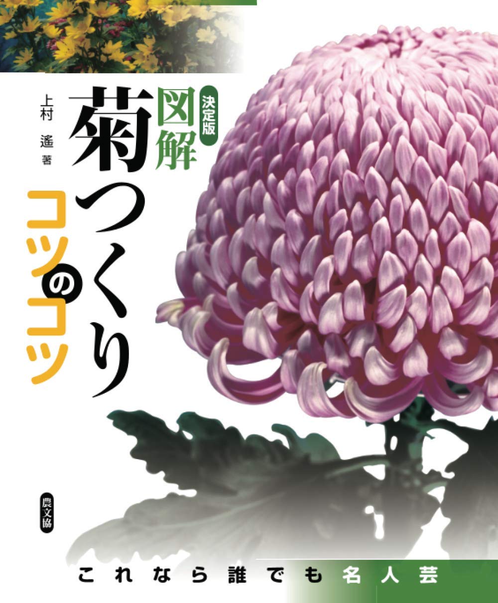 これなら誰でも名人芸　決定版　絶版希少 図解菊つくりコツのコツ 図解菊つくりコツのコツ 絶版希少 決定版 これなら誰でも名人芸 趣味・スポーツ・実用