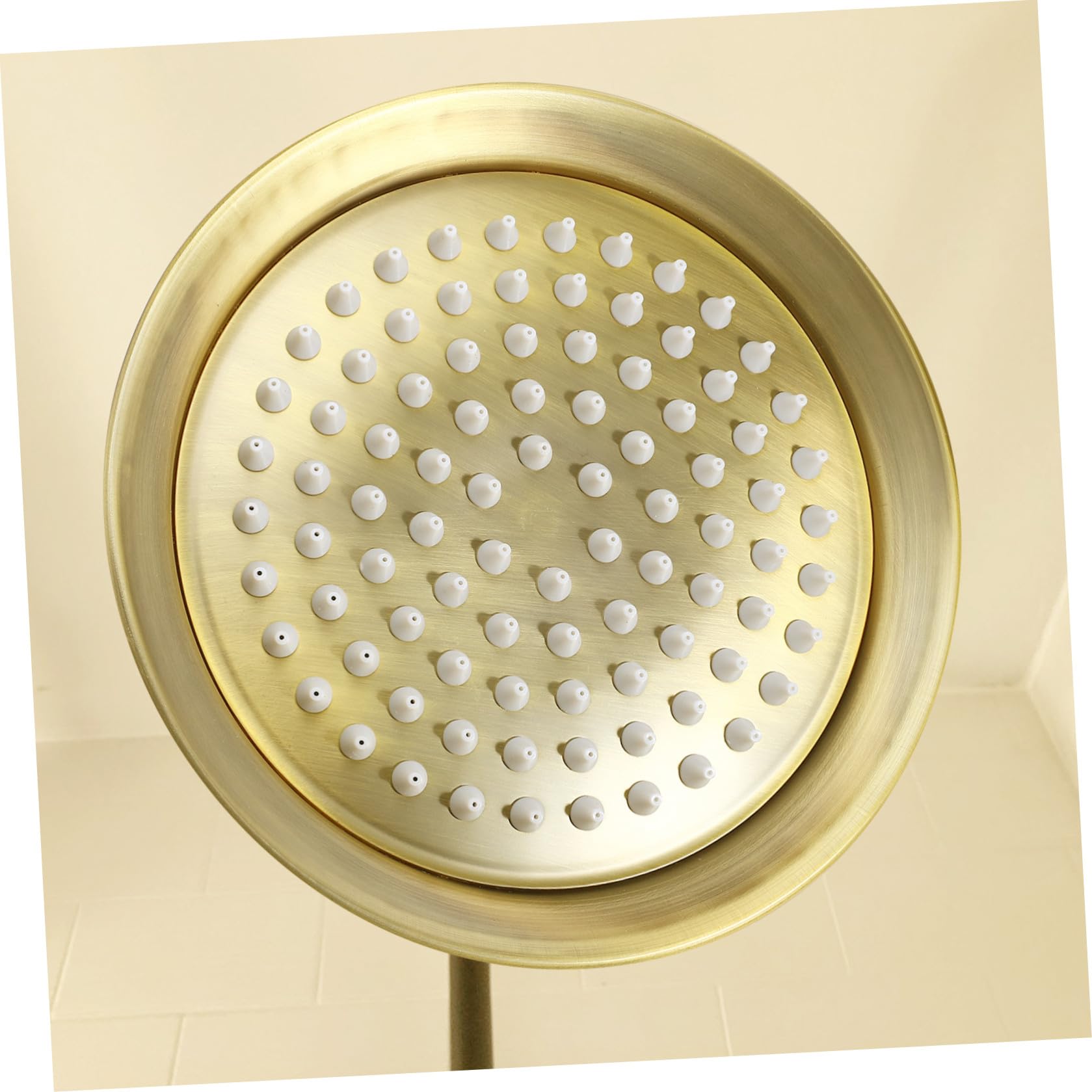 Cabezal 8 Inoxidable Ducha de Techo de Acero Marrón de Pulgadas