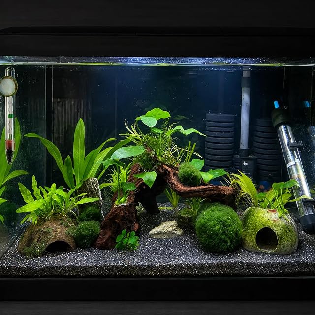 Foto 4 de 8 de Emours - Ramas de madera natural para reptiles y decoración de acuarios y pecera, surtido de distintos…