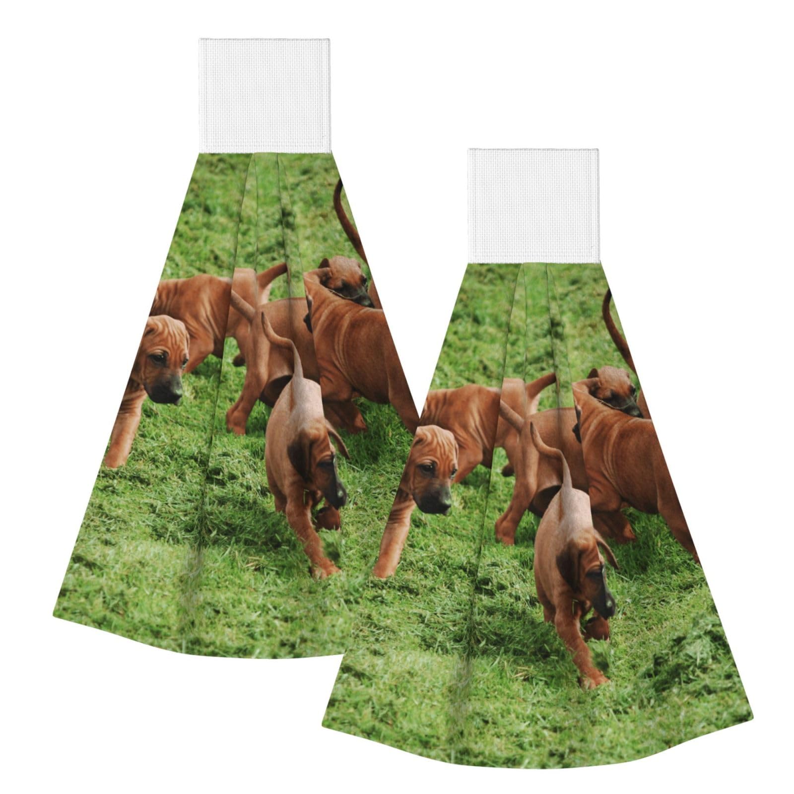 DOPKLNA Rhodesian Ridgebacks Dogs Puppies Pets Family, 2 Pcs Hanging Coral Fiber Hand Towels for Bathroom, Absorbent Kitchen Towels