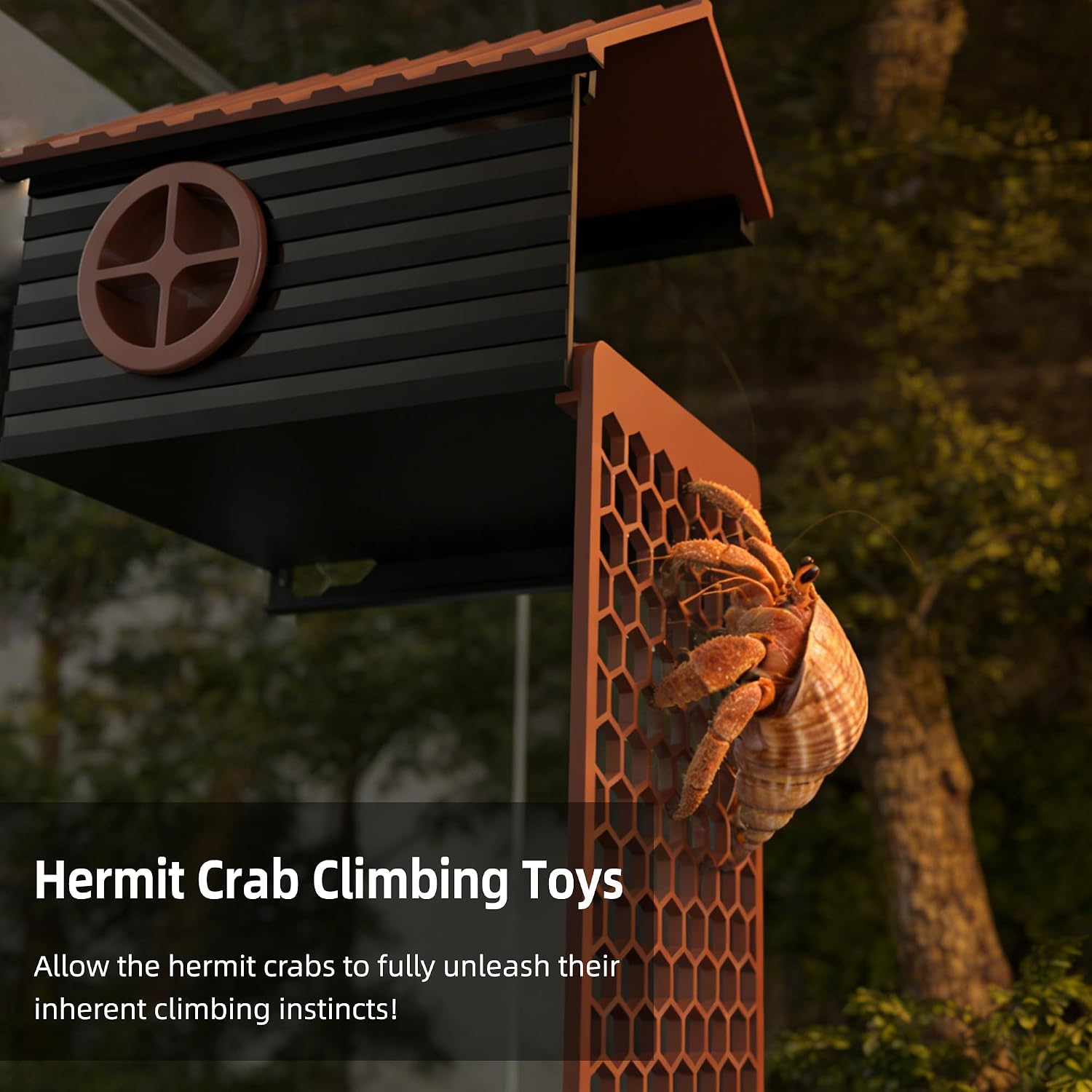 Hermit Crab Accessories | Hermit Crab Climbing Toys with Climbing Wall | Multi-Functional Hermit Crab Hideaway & Foraging Cave with Ladder | Hermit Crab Cage Decorations