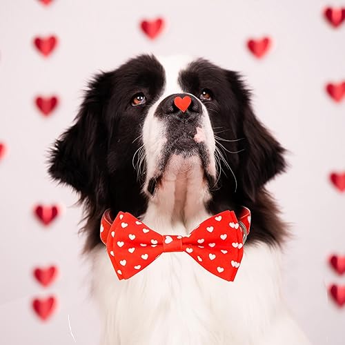 Miniatura 7 de Pajarita de perro de San Valentín con collar, collar estilo corazón para niños y niñas, cachorros grandes y medianos (feliz San Valentín, mediano